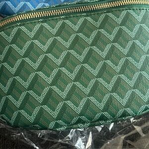 Stylish Blue and Green Women's Bum Bag